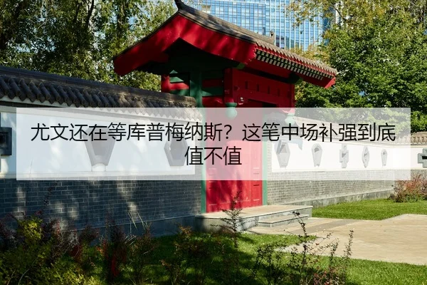 尤文还在等库普梅纳斯？这笔中场补强到底值不值