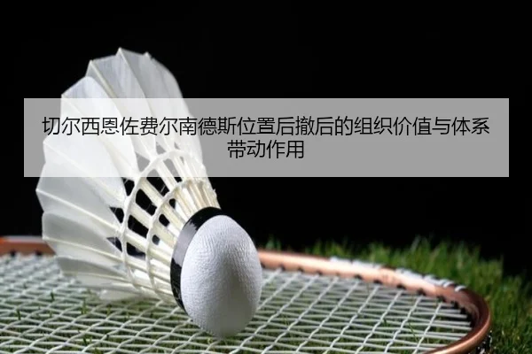 切尔西恩佐费尔南德斯位置后撤后的组织价值与体系带动作用